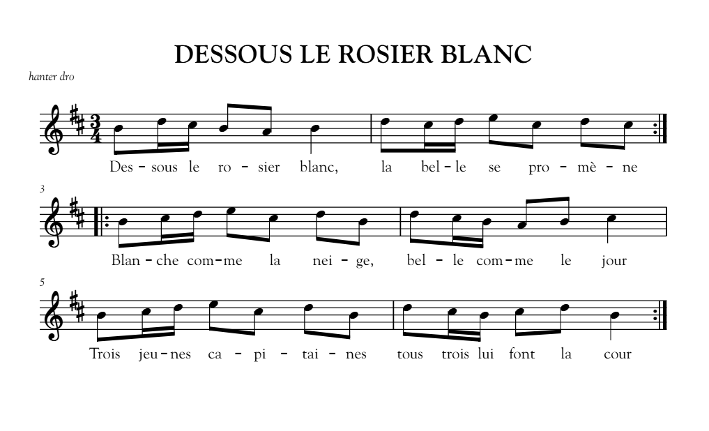 Fichier:Rosier blanc (hanter-dro).png